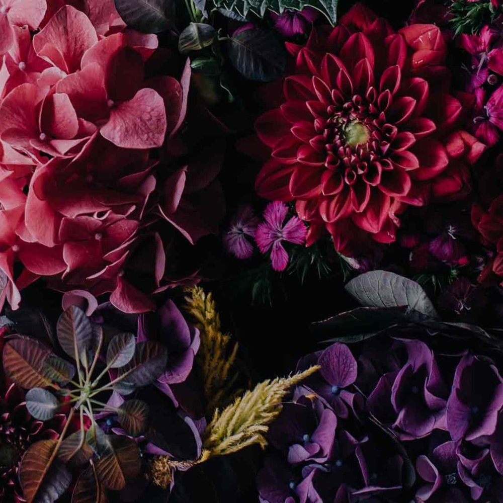 Meet your Posher, Aly